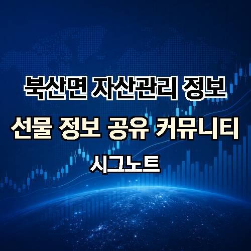 게시판 이미지 244