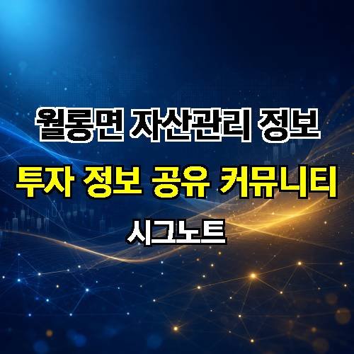 게시판 이미지 982