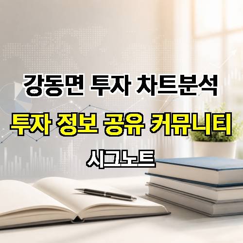 게시판 이미지 13