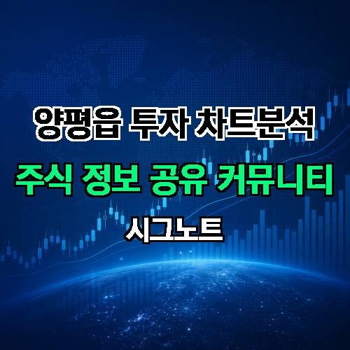 게시판 이미지 784