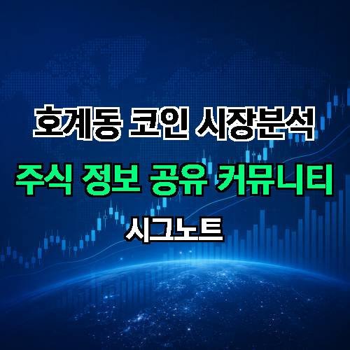 게시판 이미지 1313