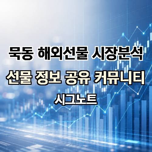 게시판 이미지 3251