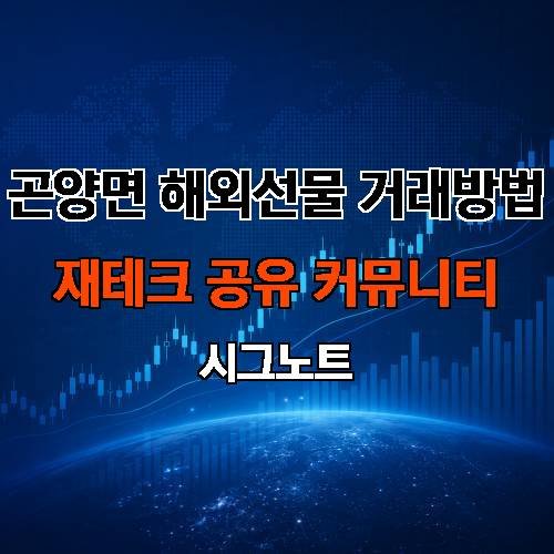 게시판 이미지 1241