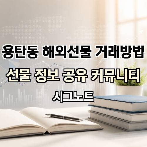 게시판 이미지 4911