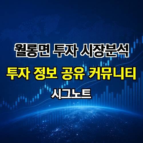 게시판 이미지 982