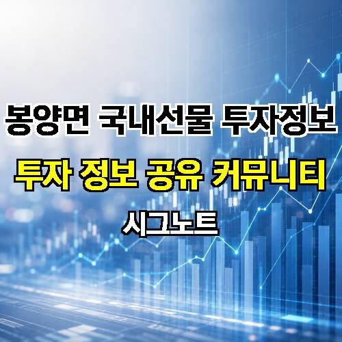 게시판 이미지 16877