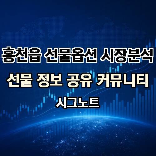 게시판 이미지 303