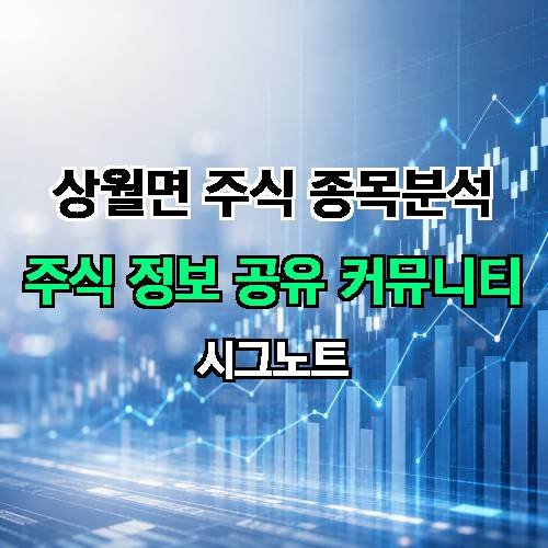 게시판 이미지 4442